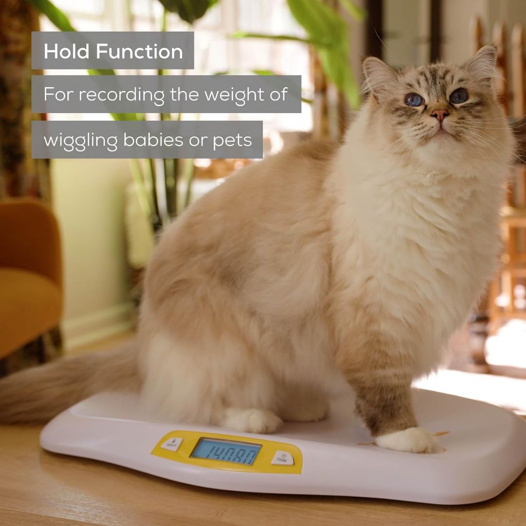 Beurer (BY 80 Baby Weighing Scale) - Image 5