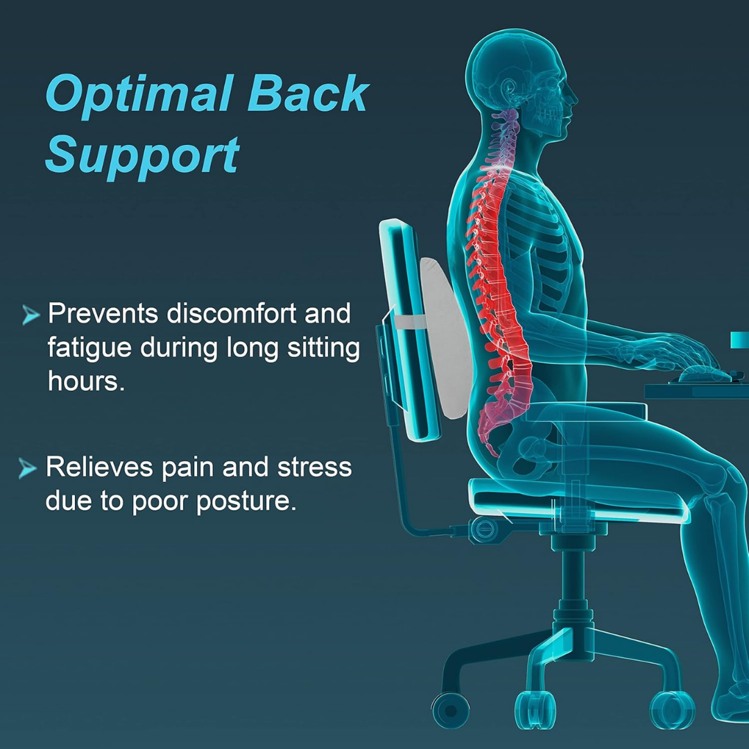 Tynor Lumbo Back Rest - Image 2